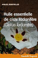 Huile essentielle de ciste ladanifère