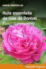 Huile essentielle rose de Damas Huile essentielle rose de Damas