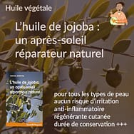 Jojoba, après-soleil réparateur naturel
