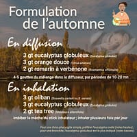 Synergie d'automne 2
