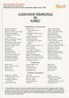 Classification thérapeutiques des plantes