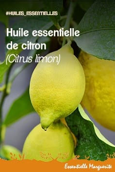 Essence de citron