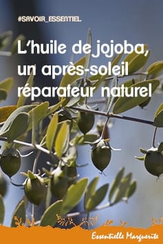 L’huile de jojoba, un après-soleil réparateur naturel