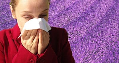 Linalol allergies et eczéma