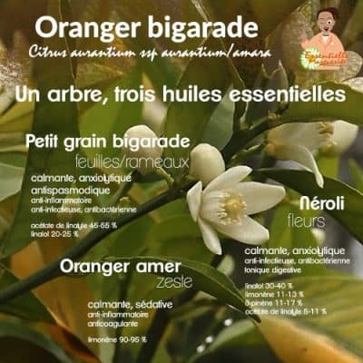 Essentielle Marguerite - Oranger bigarade
