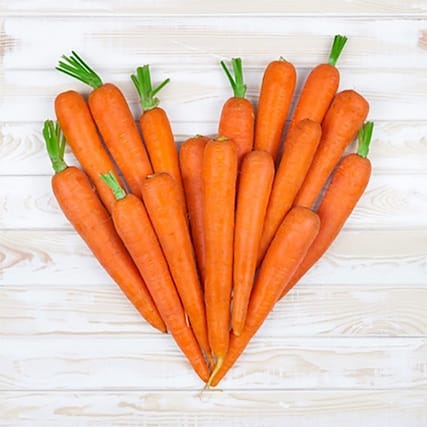 Isabelle et les carottes – noseontheroad