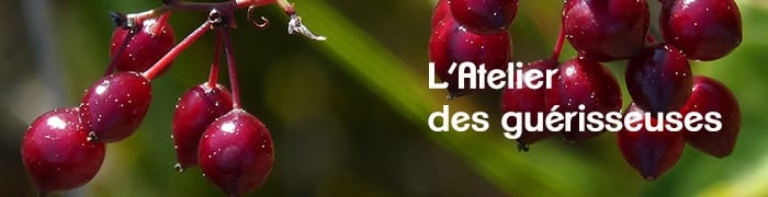 Atelier des guérisseuses 3- Essentielle Marguerite