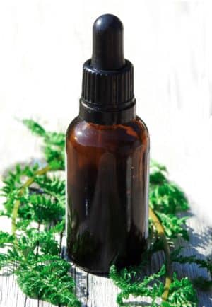essential-oils-3