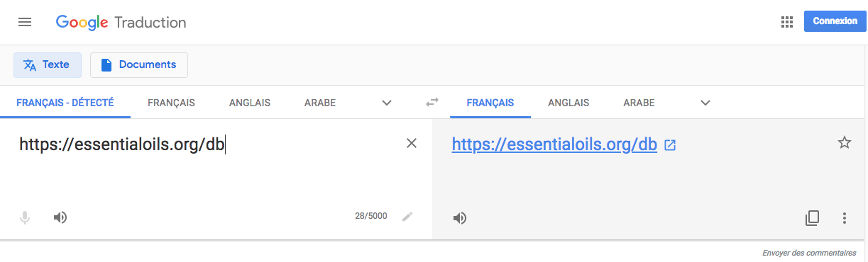 Traduction de site Traduction de site