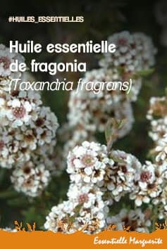 Huile essentielle de fragonia Huile essentielle de fragonia