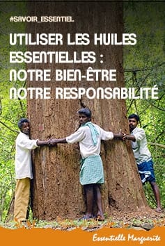 Bois de santal, bois de rose, nard de l'Himalaya : notre bien-être, notre responsabilité Bois de santal, bois de rose, nard de l'Himalaya : notre bien-être, notre responsabilité