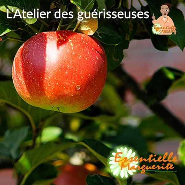 La pomme et les verrues La pomme et les verrues