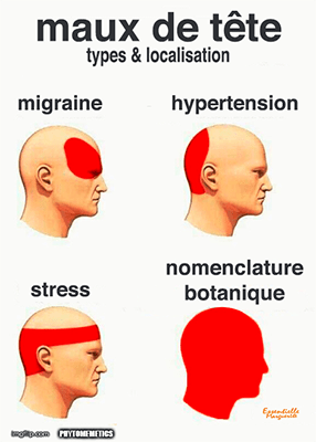 Nomenclature botanique Nomenclature botanique