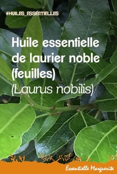 Huile essentielle de laurier noble Huile essentielle de laurier noble