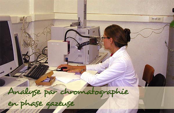 Chromatographie en phase gazeuse Chromatographie en phase gazeuse