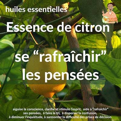 Essence de citron Essence de citron