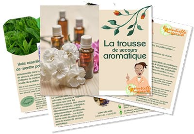 Trousse aromatique de base Trousse aromatique de base
